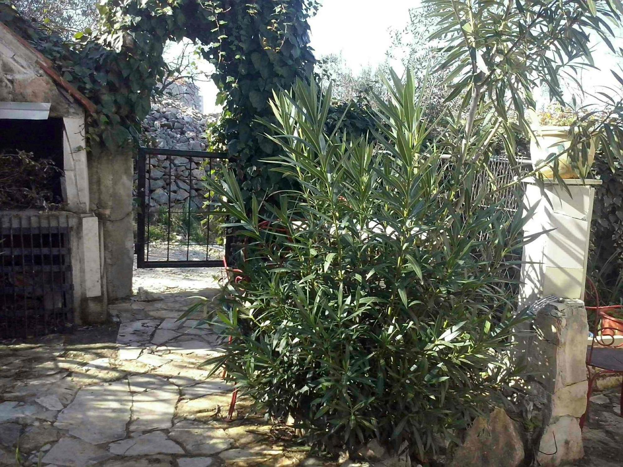 Apartment Ma'Re Supetar Εξωτερικό φωτογραφία